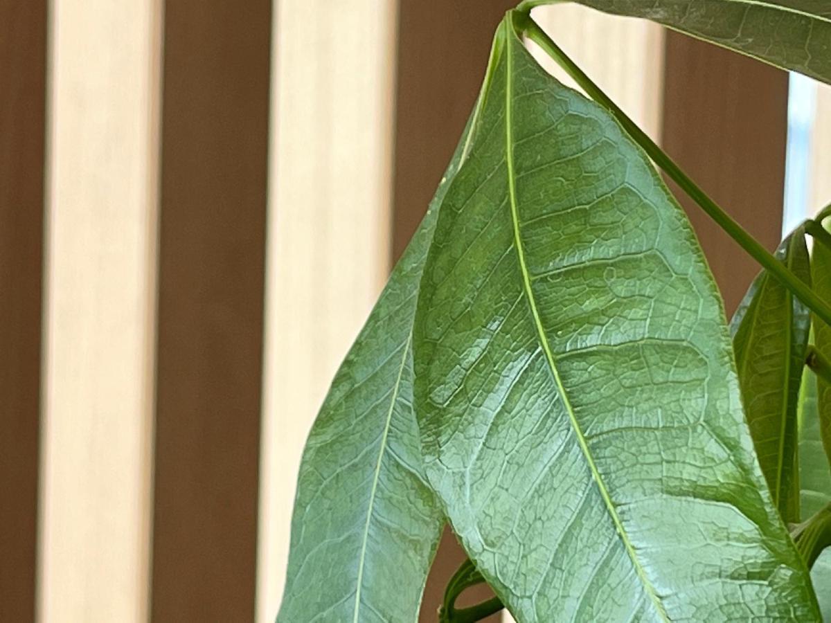 Hotel & Glamping Act Futtsu Εξωτερικό φωτογραφία